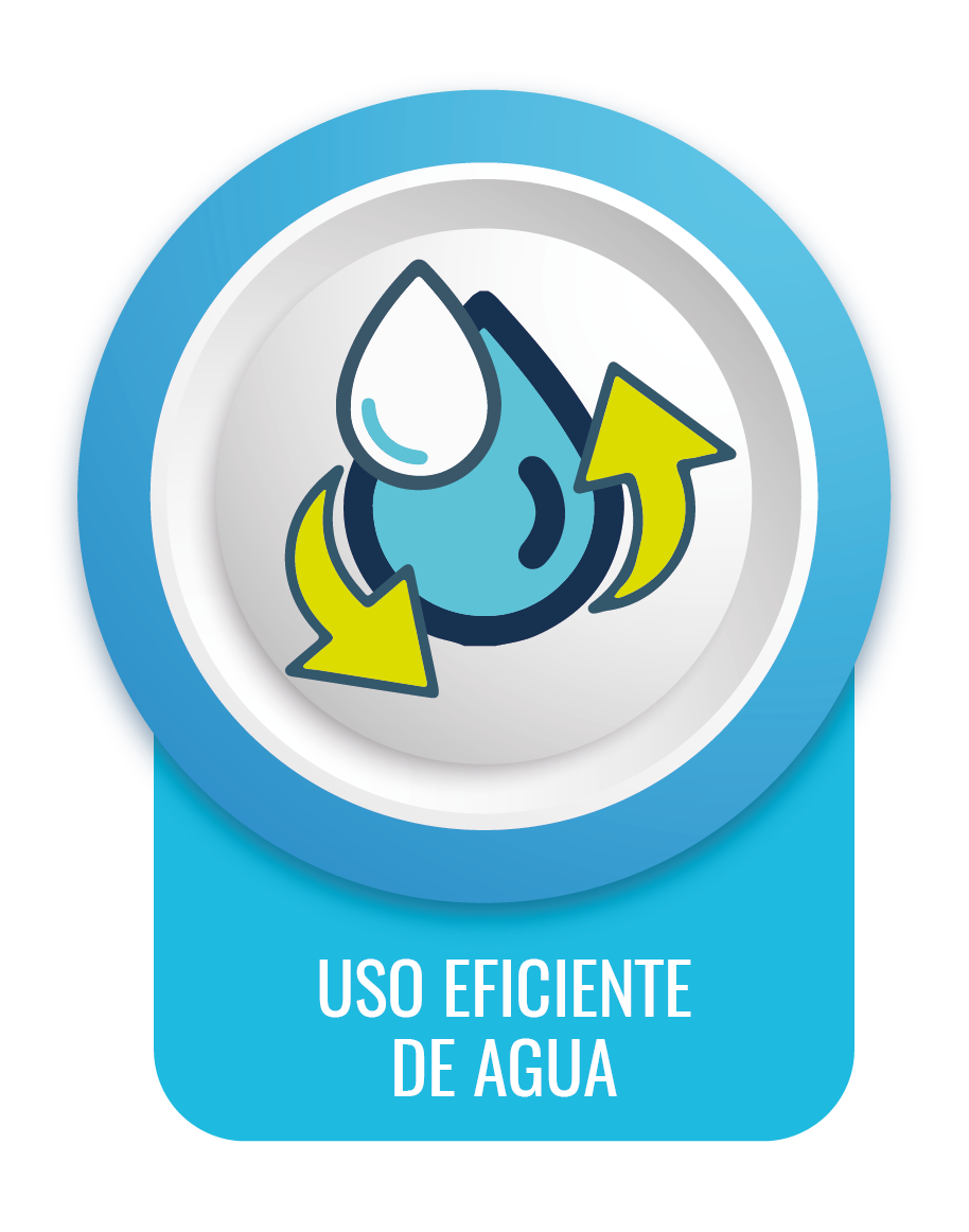 Programa Ambiental