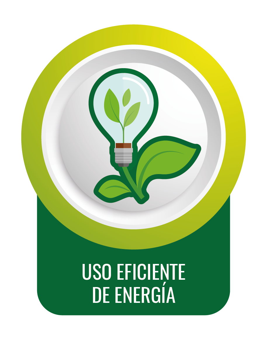 Programa Ambiental