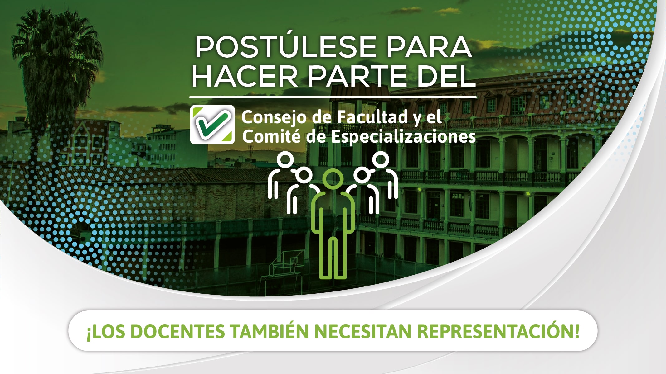 Elección Representante de Docentes en los Consejos de las Facultades